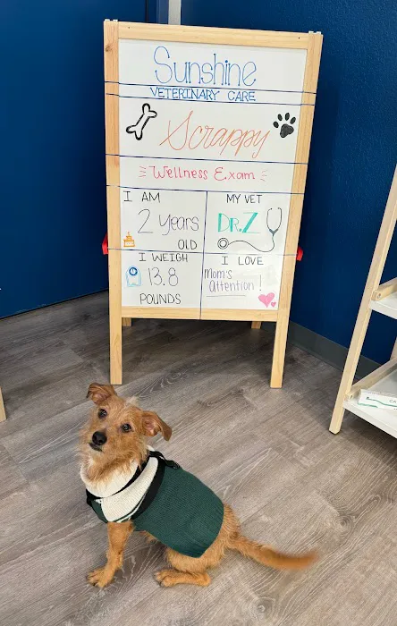 Sunshine Veterinary Care Picture 8