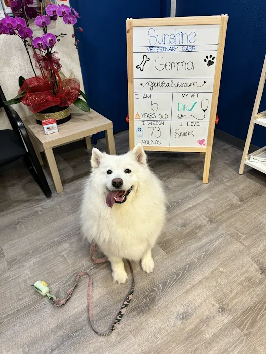 Sunshine Veterinary Care Picture 2