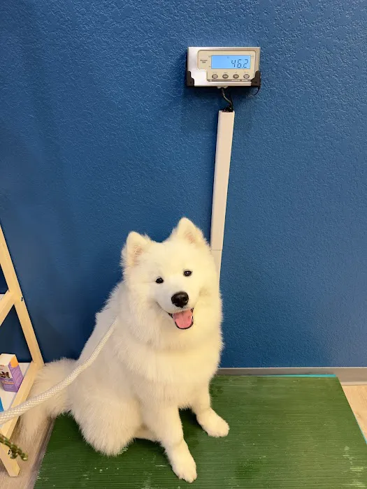 Sunshine Veterinary Care Picture 3