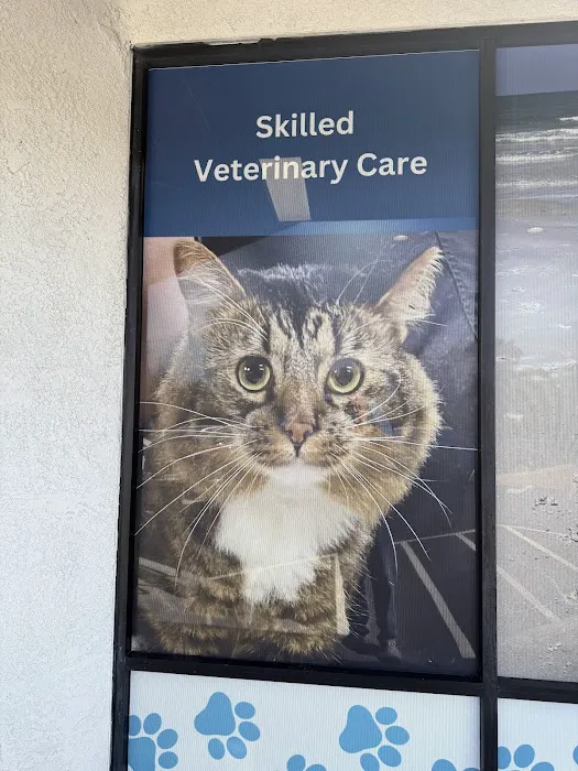 Pacific Paws Animal Hospital Picture 3