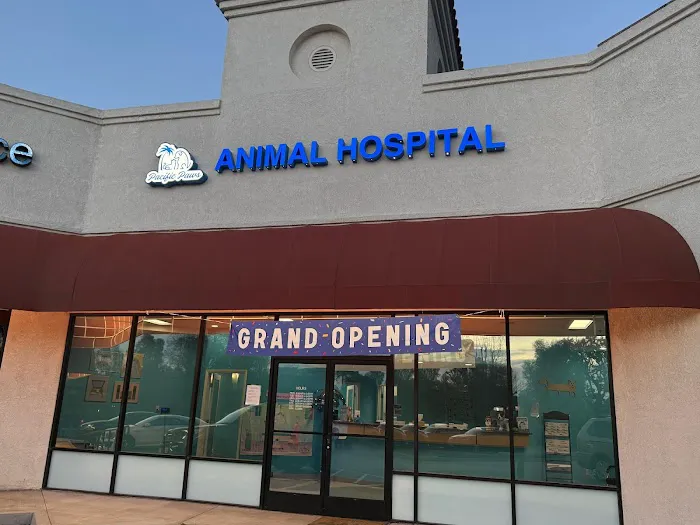 Pacific Paws Animal Hospital Picture 5