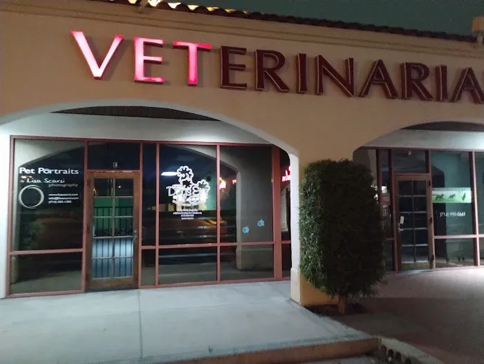Founders Veterinary Clinic Picture 6