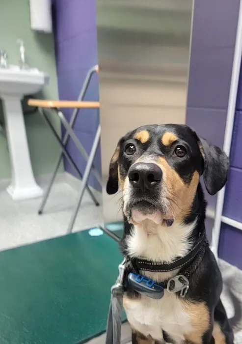 Founders Veterinary Clinic Picture 1