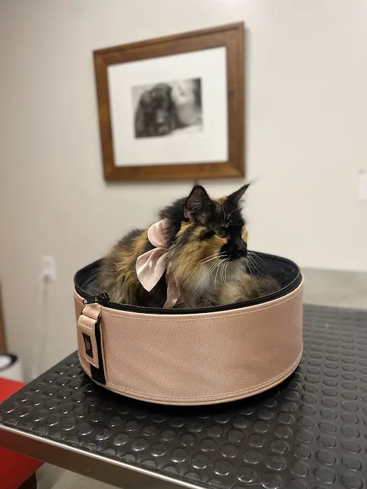Mid-Peninsula Animal Hospital Picture 4