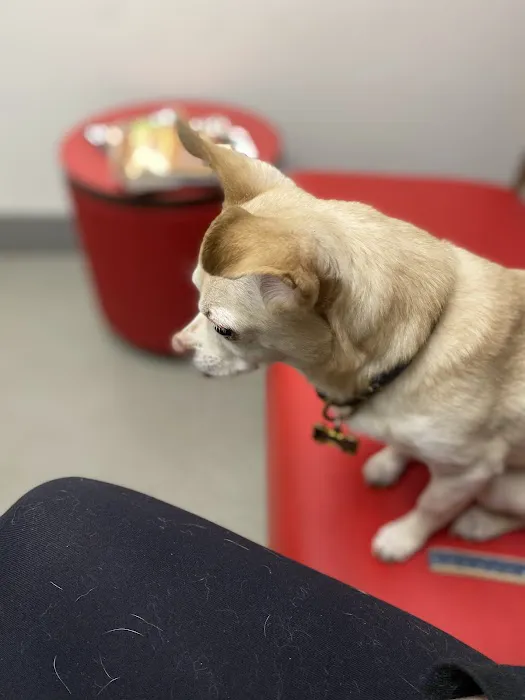 Mid-Peninsula Animal Hospital Picture 3