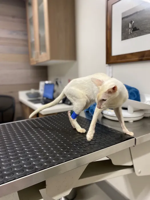 Mid-Peninsula Animal Hospital Picture 8