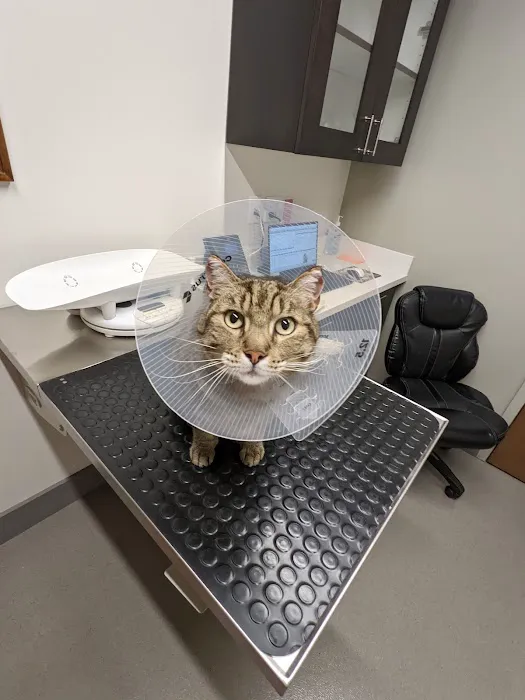 Mid-Peninsula Animal Hospital Picture 1