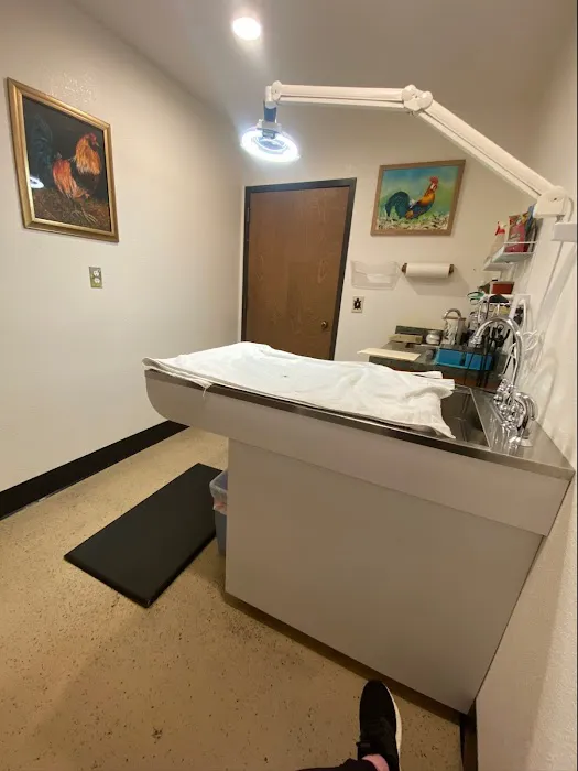 Wildwood Veterinary Hospital Picture 10