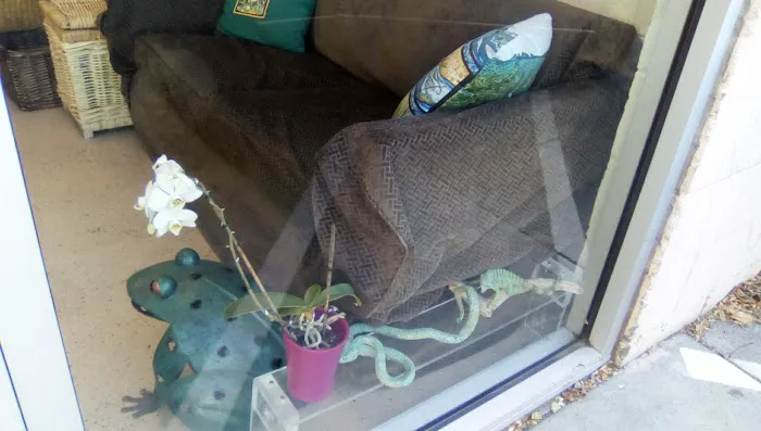 Wildwood Veterinary Hospital Picture 6