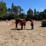 Bayhill Equine
