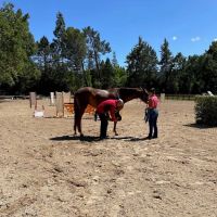 Bayhill Equine ico