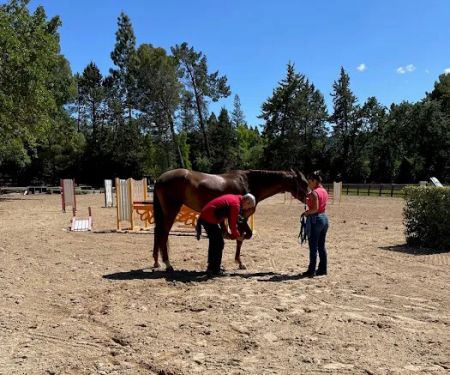 Bayhill Equine