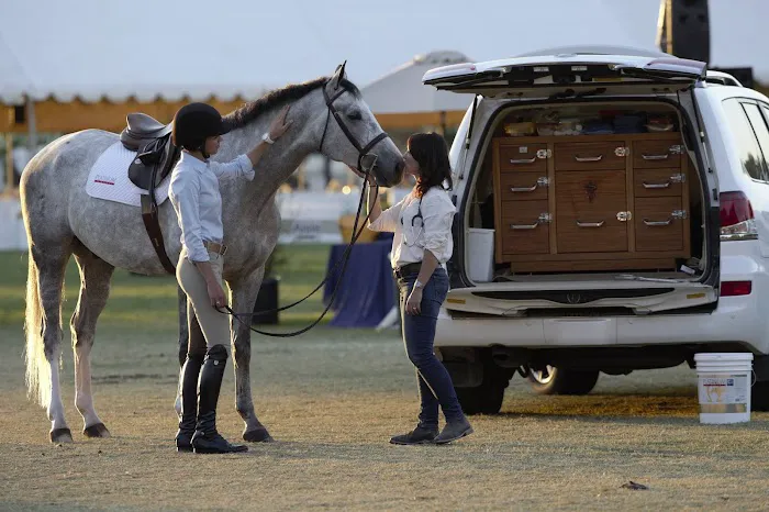 Bayhill Equine Picture 3
