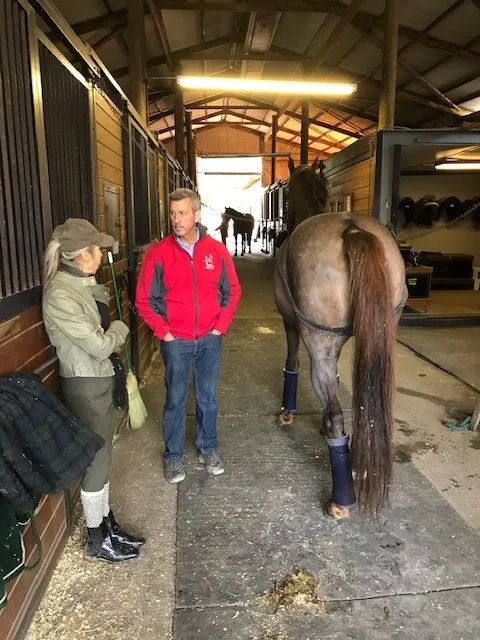 Bayhill Equine Picture 2