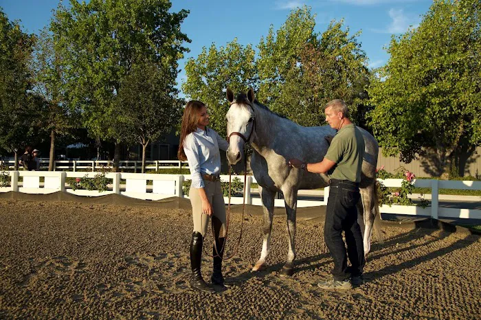 Bayhill Equine Picture 5