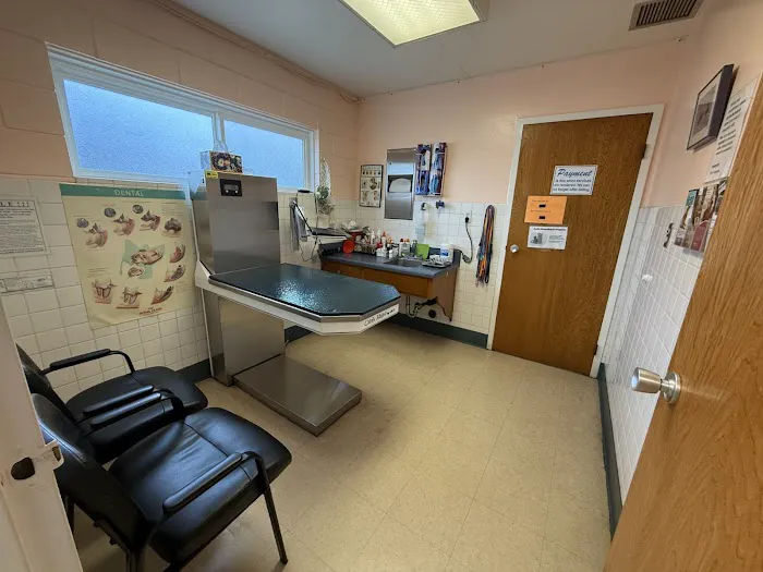 Village Square Woodside Veterinary Hospital Picture 2
