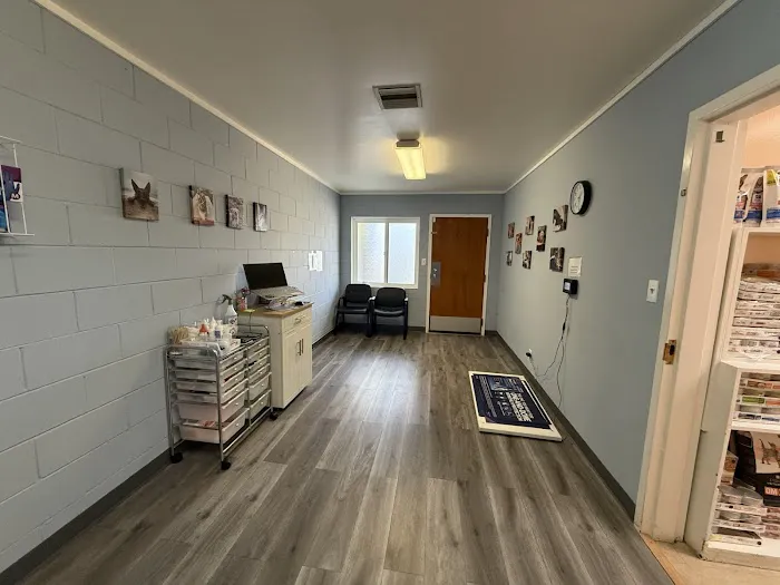 Village Square Woodside Veterinary Hospital Picture 1