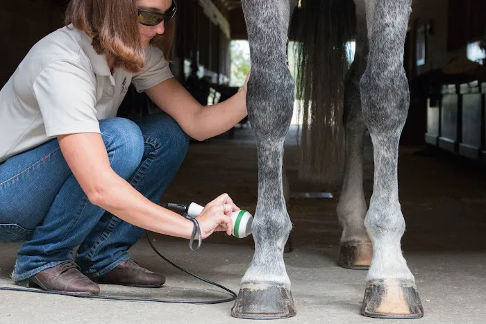 Starwood Equine Veterinary Services - Peninsula Picture 3