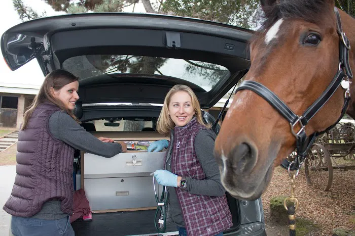 Starwood Equine Veterinary Services - Peninsula Picture 8