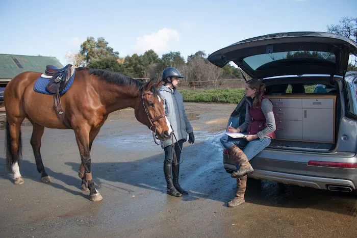 Starwood Equine Veterinary Services - Peninsula Picture 1