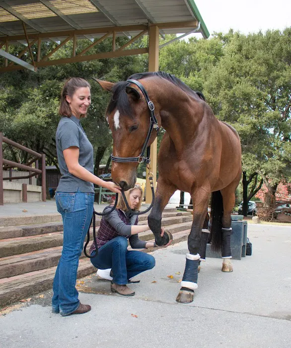 Starwood Equine Veterinary Services - Peninsula Picture 5