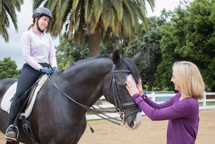 Starwood Equine Veterinary Services - Peninsula Picture 6