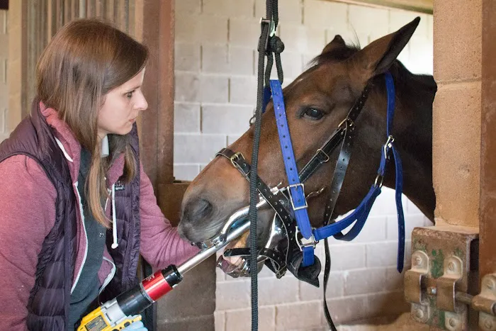 Starwood Equine Veterinary Services - Peninsula Picture 7