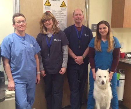 AnimalScan