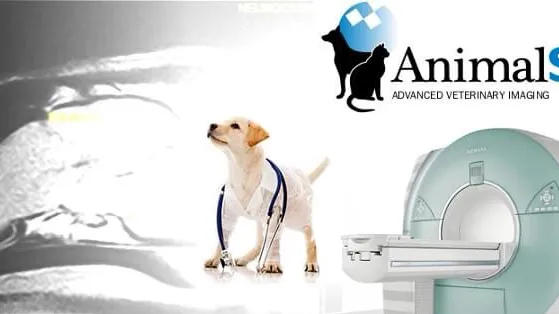 AnimalScan Picture 5