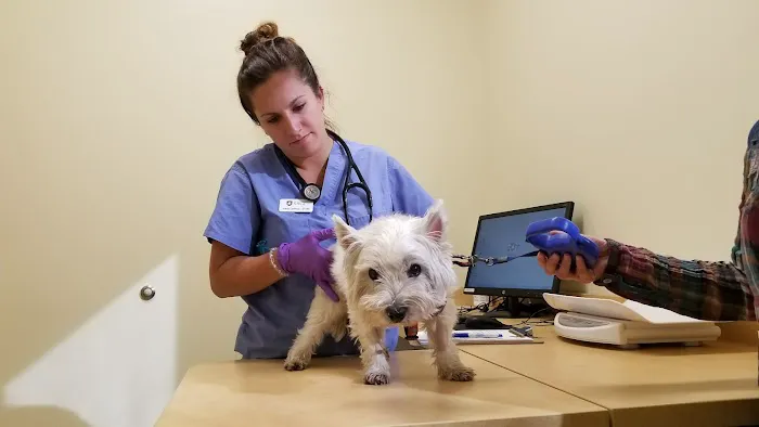 SAGE Veterinary Centers - Redwood City Picture 4