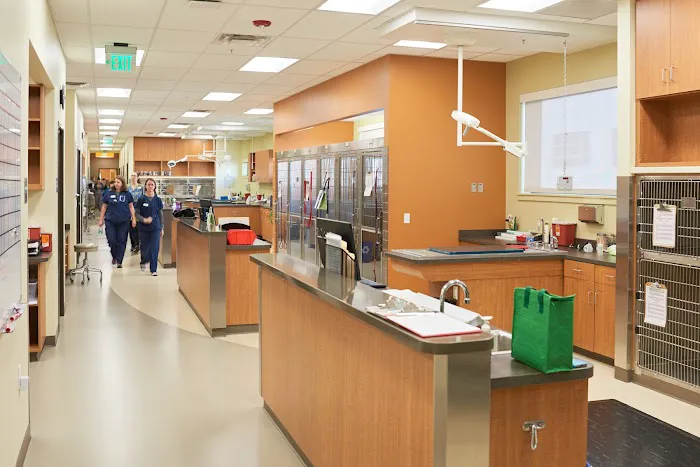 SAGE Veterinary Centers - Redwood City Picture 5