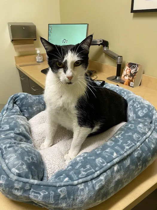 SAGE Veterinary Centers - Redwood City Picture 7