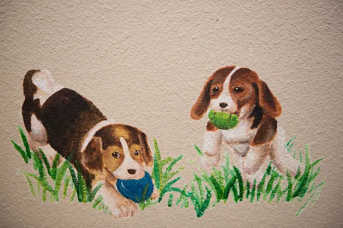 Redwood Animal Hospital Picture 6