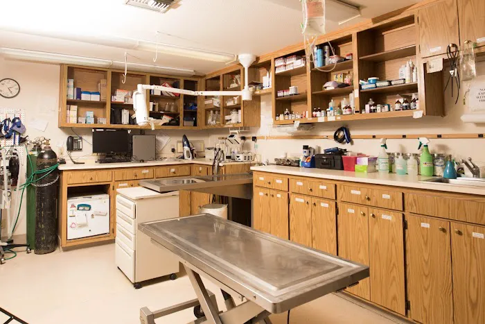 Redwood Animal Hospital Picture 2