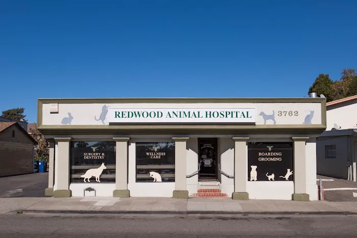 Redwood Animal Hospital Picture 5