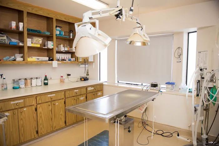 Redwood Animal Hospital Picture 7