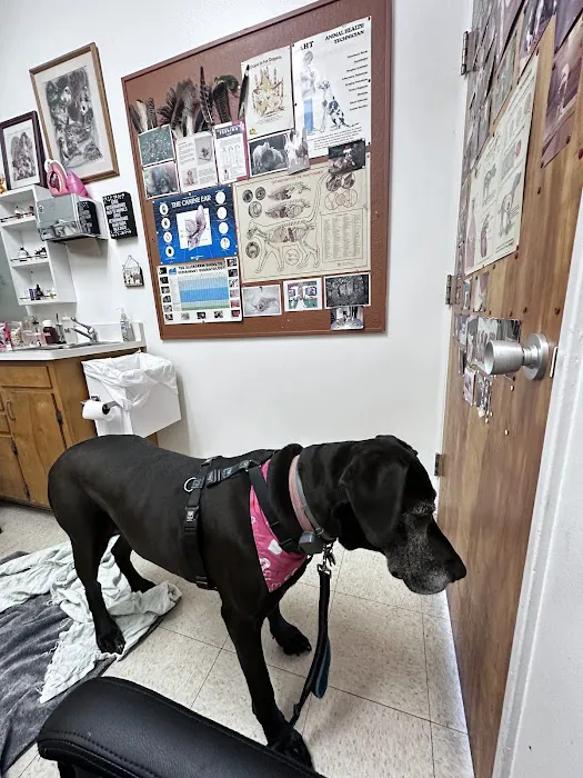 Canyon Veterinary Hospital Picture 7