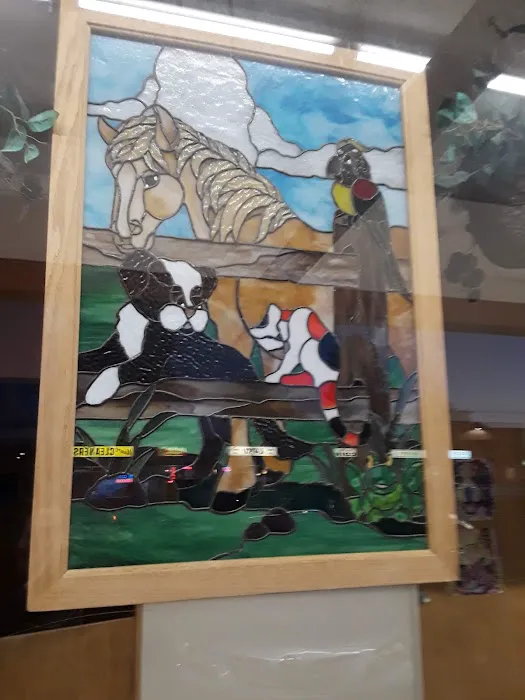 Canyon Veterinary Hospital Picture 8