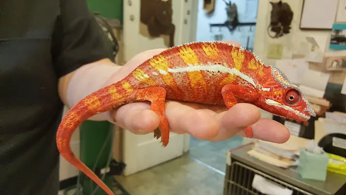 Boulevard Pet Hospital Picture 8