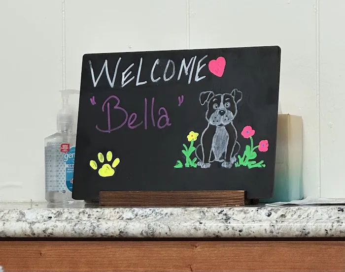 Boulevard Pet Hospital Picture 3