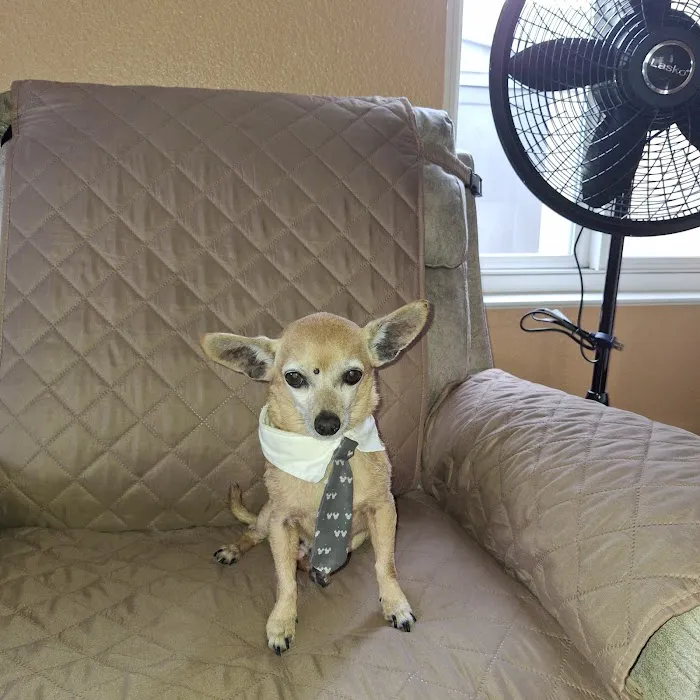 Boulevard Pet Hospital Picture 6