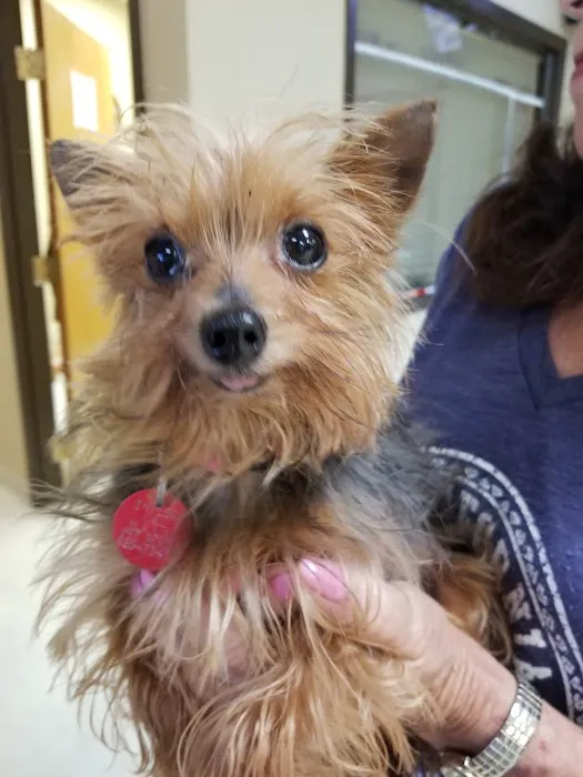 Boulevard Pet Hospital Picture 10