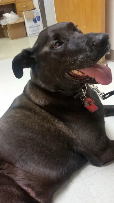 San Lorenzo Veterinary Hospital Picture 7