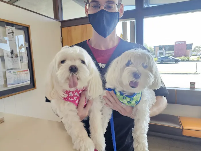 San Lorenzo Veterinary Hospital Picture 6