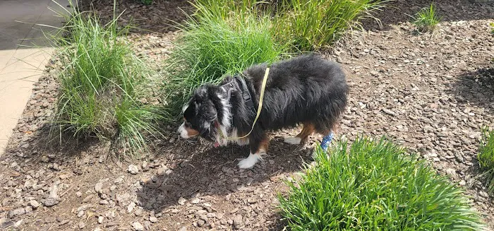 Chabot Veterinary Clinic Picture 8
