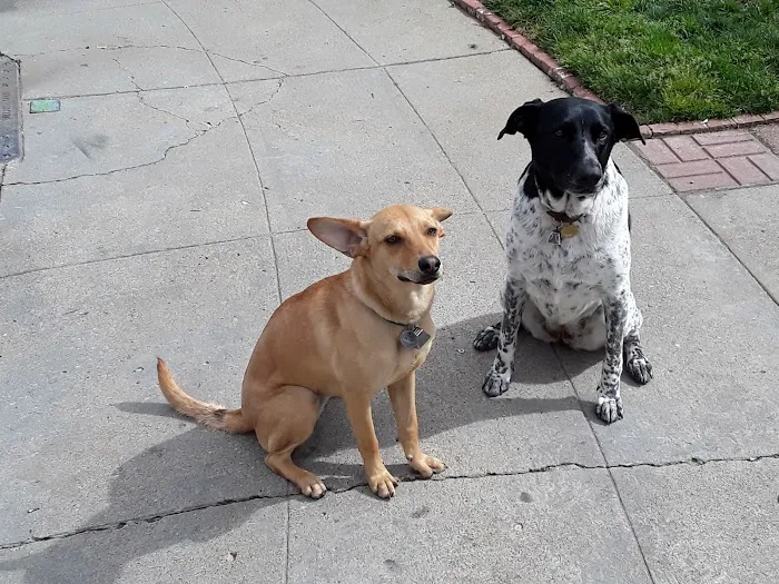 Chabot Veterinary Clinic Picture 6