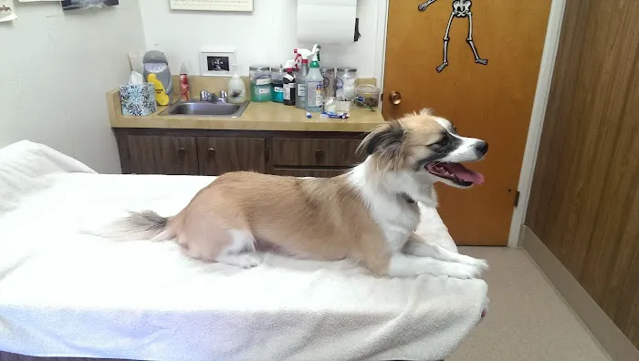 Chabot Veterinary Clinic Picture 4