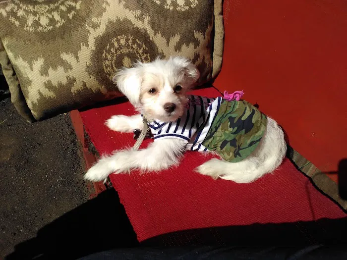 Chabot Veterinary Clinic Picture 3