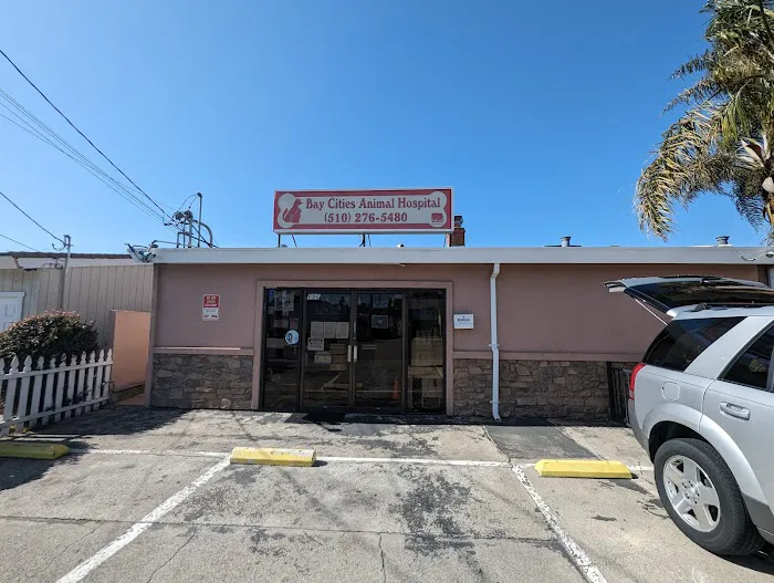Bay Cities Animal Hospital Picture 3