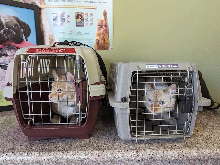 Bay Cities Animal Hospital Picture 1